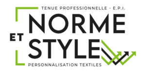 Logo Norme et Style